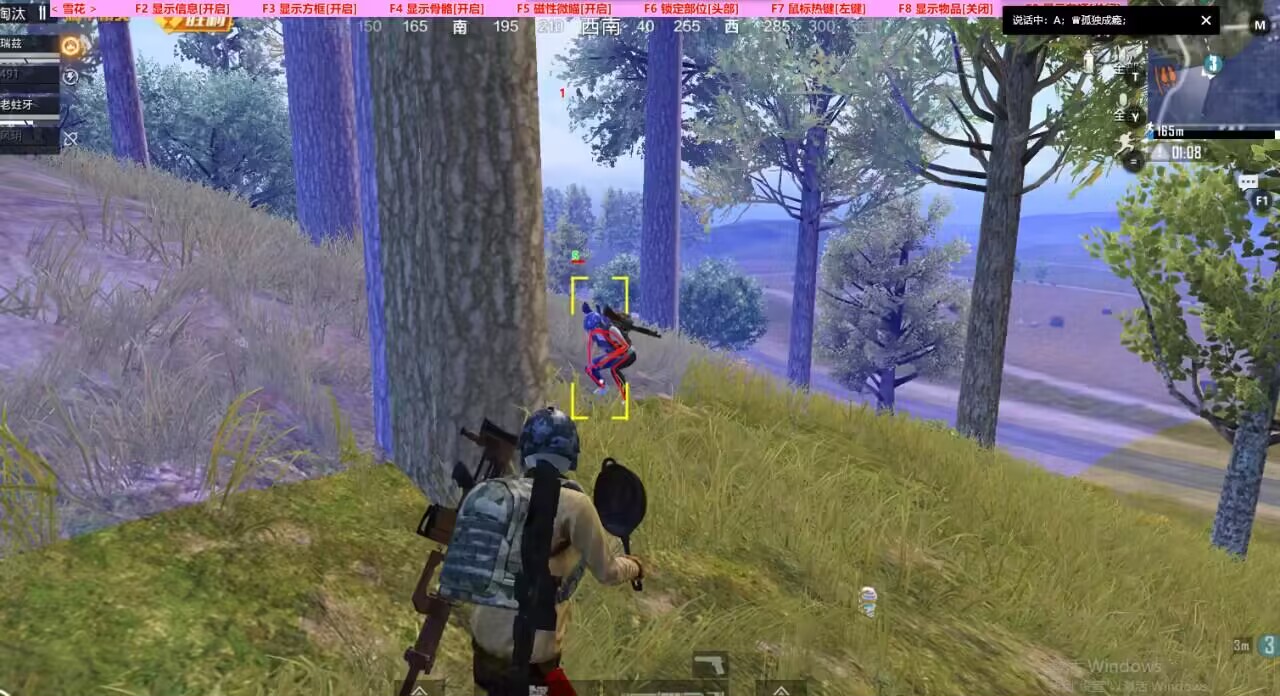 和平精英辅助【小飞侠】